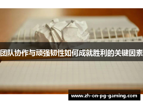 团队协作与顽强韧性如何成就胜利的关键因素