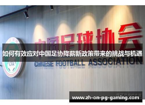 如何有效应对中国足协降薪新政策带来的挑战与机遇