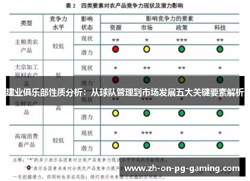 建业俱乐部性质分析：从球队管理到市场发展五大关键要素解析