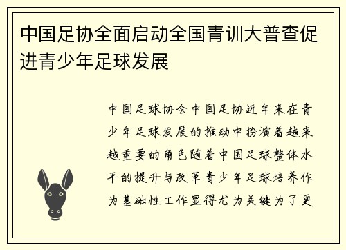 中国足协全面启动全国青训大普查促进青少年足球发展