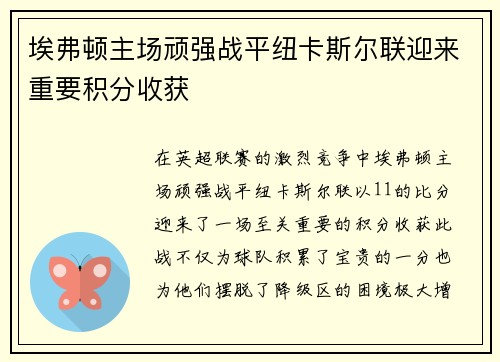 埃弗顿主场顽强战平纽卡斯尔联迎来重要积分收获