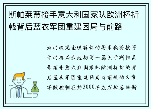 斯帕莱蒂接手意大利国家队欧洲杯折戟背后蓝衣军团重建困局与前路