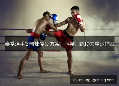 泰拳选手韧带康复新方案，科学训练助力重返擂台